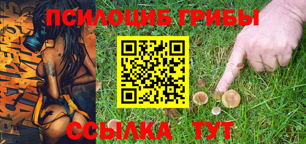 Псилоцибиновые грибы GOLDEN TEACHER Кудымкар